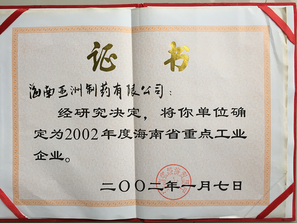 02年海南省重点工业企业