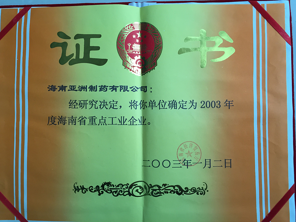 03年度海南省重点工业企业